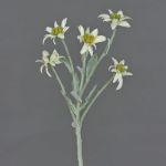Kunst Alpen Edelweiß SOPHIA, weiß, 40cm, Ø5-6cm