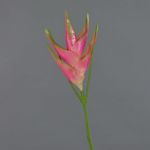 Kunst Helikonien Blüte TOMKE, pink-grün, 80cm, Ø18cm