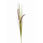 Deko Fuchsschwanzgras JILL, Stecker, Rispen, grün-violett, 90cm