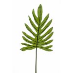 Dekoblatt Philodendron Selloum GINO, 100cm