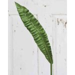 Künstliches Nestfarn Blatt CHOPIN, grün, 95cm