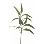 Eukalyptus Zweig künstlich SEMA, grün, 70cm