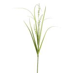 Künstlicher Zweig Lampenputzergras KOVLIN mit Rispen, creme-grün, 65cm