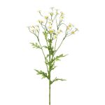 Künstlicher Zweig Kamille GRUHEL, weiß, 60cm