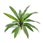 Künstlicher Asplenium JANE, grün, 40cm