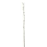 Künstlicher Zweig Kätzchenweide DAFINO mit Blüten, weiß, 105cm