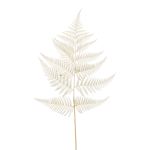 Künstliches Blatt Schwertfarn MBALI, creme, 80cm