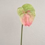 Anthurie künstlich YUSEI, grün-rosa, 65cm, 13,5x16cm