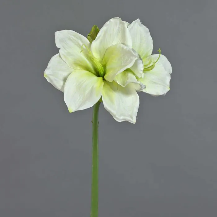 Knstliche Amaryllis NARWELA, wei-grn, 70cm, 10-13cm