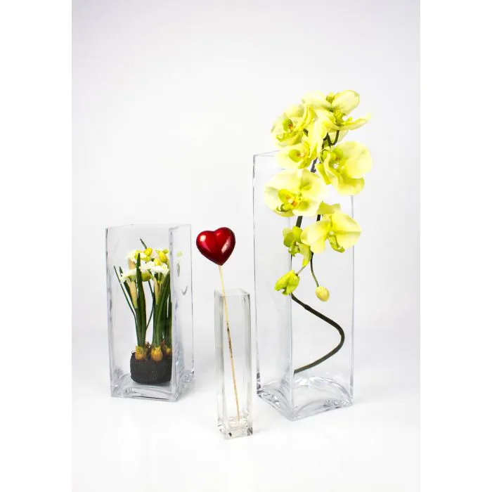 Blumenvase JACK EARTH aus Glas, klar, 14x14x35cm