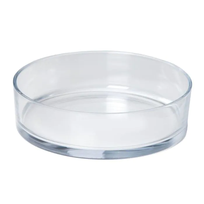 Obstschale VERA OCEAN aus Glas, transparent, 8cm, Ø29cm
