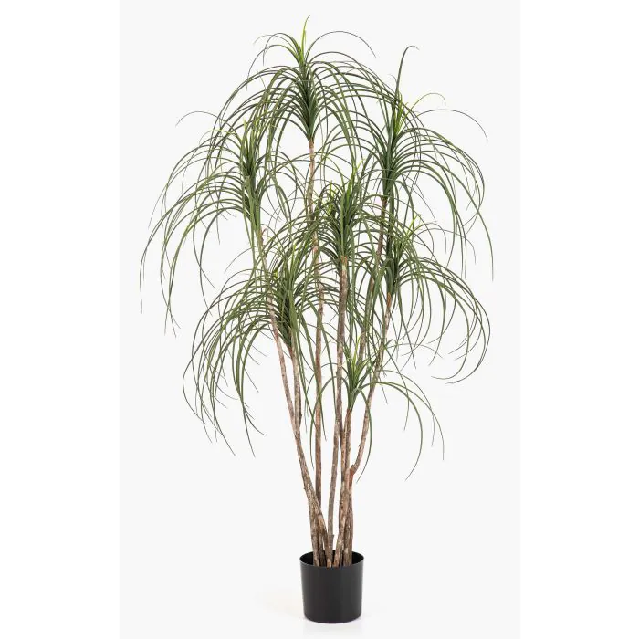 Künstlicher Elefantenfuß Baum ALWINA, Naturstamm, grün, 150cm