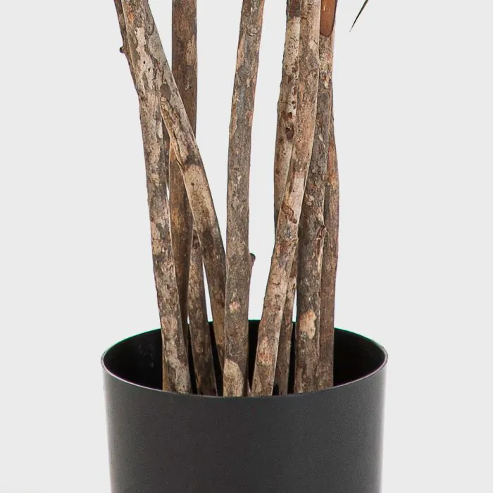 Künstlicher Elefantenfuß Baum ALWINA, Naturstamm, grün, 150cm