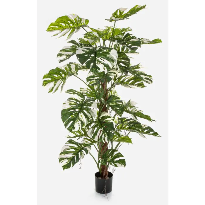 Plastik Philodendron Monstera Deliciosa Variegata MEBSUTA, grn-wei, 160cm