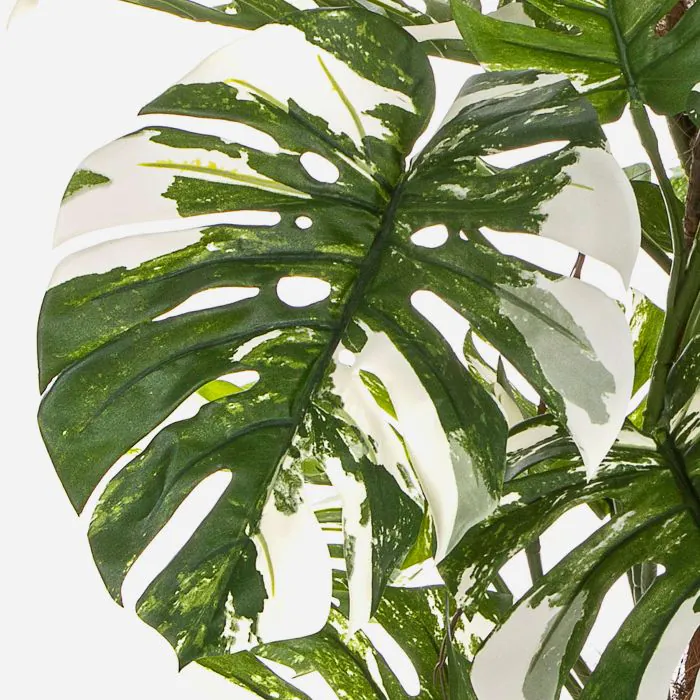 Plastik Philodendron Monstera Deliciosa Variegata MEBSUTA, grn-wei, 160cm
