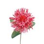 Deko Nadelkissen Protea ISLARTINA, rot-pink, 75cm