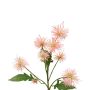 Dekozweig Kugeldistel GESKENDA, rosa-gelb, 60cm, Ø3,5-5cm