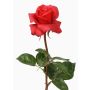 Kunst Rose AMELIE, rot, 70cm, Ø9cm