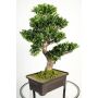 Künstlicher Bonsai Buchsbaum JELKO mit Wurzeln, in Bonsaischale, 65cm