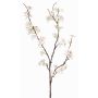 Deko Apfelblütenzweig LOUISA, blühend, creme-weiß, 80cm, Ø3-4cm