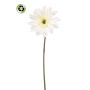 Kunstblume Gerbera FRALWE, Eco Collection, weiß, 65cm, Ø13cm