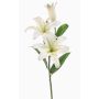 Künstliche Blume Tigerlilie KRAWEL, Eco Collection, weiß-grün, 85cm, Ø21cm