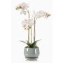 Unechte Orchidee Phalaenopsis JOLANA im Keramiktopf, weiß, 45cm