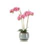 Unechte Orchidee Phalaenopsis JOLANA im Keramiktopf, rosa, 45cm
