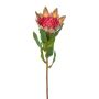 Künstliche Blume Königs Protea WANBA, grün-rosa, 50cm