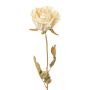 Künstliche Blume Rose PANSOK, Trockenoptik, creme, 55cm, Ø7cm