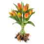 Kunst Tulpenstrauß LONA mit Zwiebeln, orange-gelb, 35cm, Ø25cm