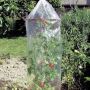 Gelochte Tomaten Reifehaube NAZMIYE mit Abstandsringen, 3 Stück, transparent, 130cm, Ø65cm