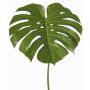 Dekoblatt Philodendron Monstera Deliciosa THALWIL, 60cm