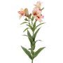 Künstliche Inkalilie AUBERTA, rosa-pink-gelb, 75cm, Ø6cm