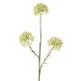 Kunst Allium ALIKIO, weiß, 65cm, Ø7cm