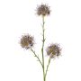 Dekozweig Allium ZEBU, lila, 65cm, Ø7cm