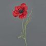 Kunstblume Anemone OKAPI, rot, 55cm, Ø10cm