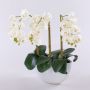 Kunststoff Phalaenopsis Orchidee JASMIN in Keramikschale, weiß, 40cm