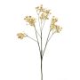 Kunst Schleierkraut LITAGO, Trockenoptik, beige, 70cm, Ø1,5cm