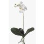 Unechte Orchidee Phalaenopsis FAO zum Stecken, weiß, 45cm