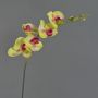 Textilzweig Phalaenopsis Orchidee DAJANA, gelb-pink, 80cm, Ø6-11cm
