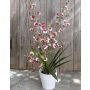 Kunststoffschaum Orchidee Oncidium YOSEPHIN im Tontopf, weiß-rot, 70cm