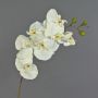 Kunstzweig Phalaenopsis Orchidee RICKY, creme, 95cm, Ø7-11cm