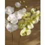 Kunstzweig Phalaenopsis Orchidee RICKY, creme-grün, 95cm, Ø7-11cm