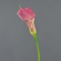 Textilblume Calla TERESA, pink-gelb, 70cm, 10x15cm
