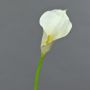 Textilblume Calla TERESA, creme, 70cm, 10x15cm