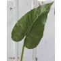 Dekoblatt Calla FRANSCHESKA, grün, 70cm