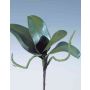 Dekoblätter Phalaenopsis Orchidee DORTE, Luftwurzeln, 22x28cm