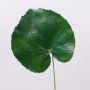 Künstliches Geranien Blatt HEIDEGARD, grün, 38cm, Ø14cm