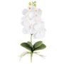 Kunst Phalaenopsis Orchidee DRINTOR, Steckstab, Wurzeln, weiß, 40cm